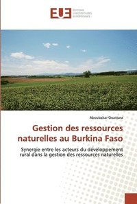 bokomslag Gestion des ressources naturelles au Burkina Faso