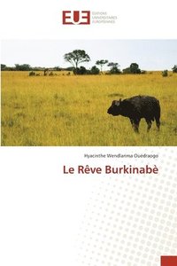 bokomslag Le Rve Burkinab