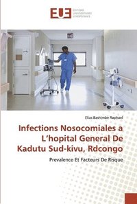 bokomslag Infections Nosocomiales a L'hopital General De Kadutu Sud-kivu, Rdcongo