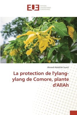 bokomslag La protection de l'ylang-ylang de Comore, plante d'AllAh