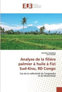 bokomslag Analyse de la filire palmier  huile  Fizi Sud-Kivu, RD Congo