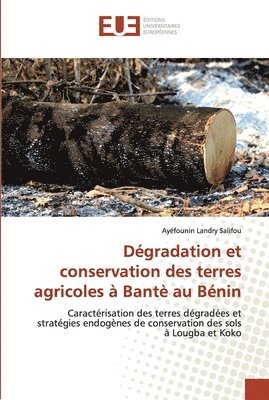 bokomslag Dgradation et conservation des terres agricoles  Bant au Bnin