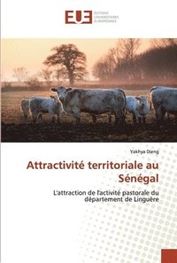 bokomslag Attractivite territoriale au Senegal