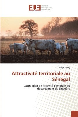 Attractivite territoriale au Senegal 1