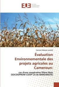 bokomslag Evaluation Environnementale des projets agricoles au Cameroun