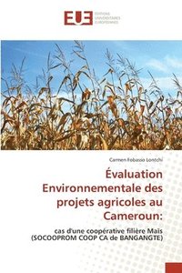 bokomslag valuation Environnementale des projets agricoles au Cameroun