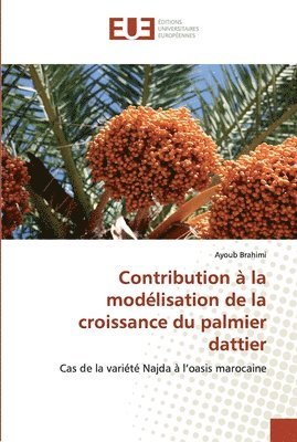Ayoub Brahimi - Contribution à la modélisation de la croissance du palmier dattier, Häftad