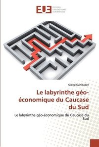 bokomslag Le labyrinthe go-conomique du Caucase du Sud