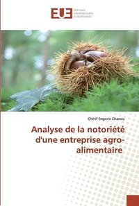 bokomslag Analyse de la notorit d'une entreprise agro-alimentaire