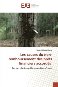 bokomslag Les causes du non-remboursement des prts financiers accords