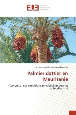 Palmier dattier en Mauritanie 1