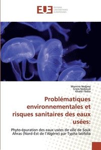 bokomslag Problematiques environnementales et risques sanitaires des eaux usees