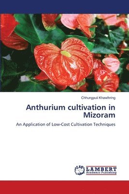 Anthurium cultivation in Mizoram 1