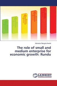 bokomslag The role of small and medium enterprise for economic growth