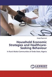 bokomslag Household Economic Strategies and Healthcare-Seeking Behaviour