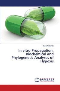 bokomslag In vitro Propagation, Biochemical and Phylogenetic Analyses of Hypoxis