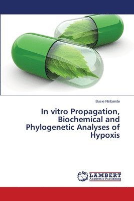 In vitro Propagation, Biochemical and Phylogenetic Analyses of Hypoxis 1