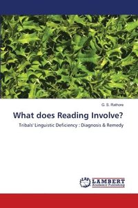bokomslag What does Reading Involve?