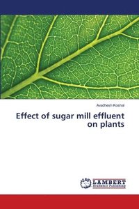 bokomslag Effect of sugar mill effluent on plants