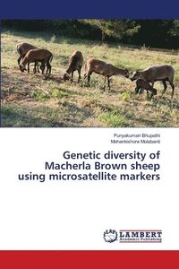 bokomslag Genetic diversity of Macherla Brown sheep using microsatellite markers
