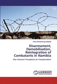 bokomslag Disarmament, Demobilisation, Reintegration of Combatants in Namibia