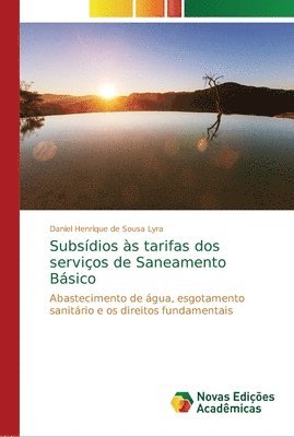 bokomslag Subsdios s tarifas dos servios de Saneamento Bsico