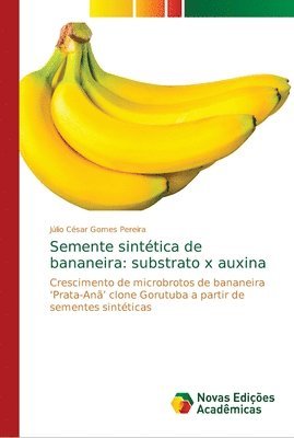 Semente sinttica de bananeira 1