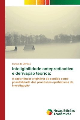 Inteligibilidade antepredicativa e derivao terica 1