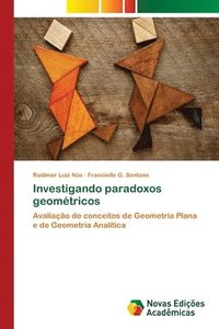 bokomslag Investigando paradoxos geomtricos