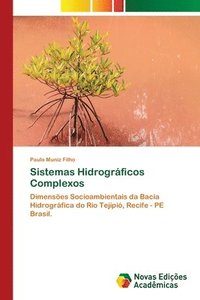 bokomslag Sistemas Hidrogrficos Complexos