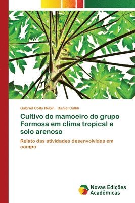 Cultivo do mamoeiro do grupo Formosa em clima tropical e solo arenoso 1