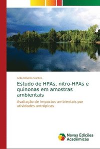 bokomslag Estudo de HPAs, nitro-HPAs e quinonas em amostras ambientais