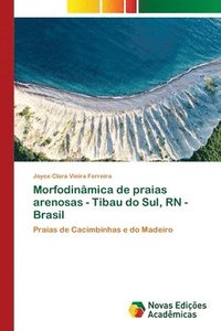 bokomslag Morfodinmica de praias arenosas - Tibau do Sul, RN - Brasil