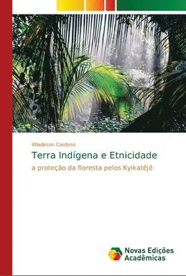 bokomslag Terra Indigena e Etnicidade