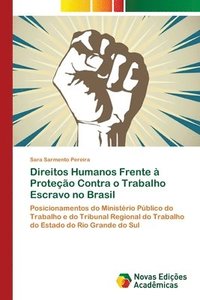 bokomslag Direitos Humanos Frente  Proteo Contra o Trabalho Escravo no Brasil