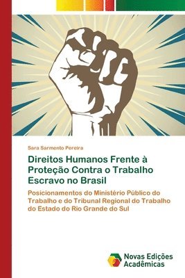 bokomslag Direitos Humanos Frente  Proteo Contra o Trabalho Escravo no Brasil