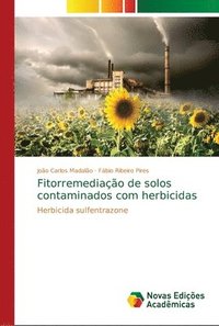 bokomslag Fitorremediacao de solos contaminados com herbicidas