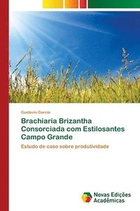 bokomslag Brachiaria Brizantha Consorciada com Estilosantes Campo Grande