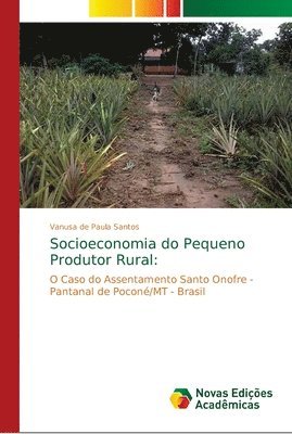 bokomslag Socioeconomia do Pequeno Produtor Rural