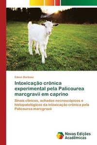 bokomslag Intoxicao crnica experimental pela Palicourea marcgravii em caprino