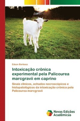 Intoxicao crnica experimental pela Palicourea marcgravii em caprino 1