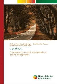 bokomslag Caminos