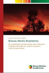 bokomslag Bravos Heris Brasileiros