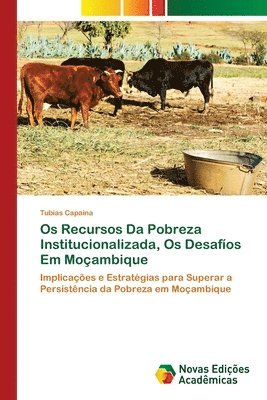 bokomslag Os Recursos Da Pobreza Institucionalizada, Os Desafos Em Moambique