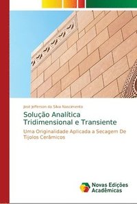 bokomslag Soluo Analtica Tridimensional e Transiente