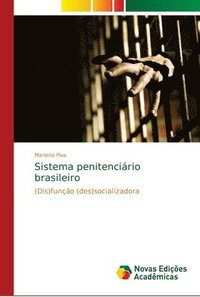 bokomslag Sistema penitencirio brasileiro