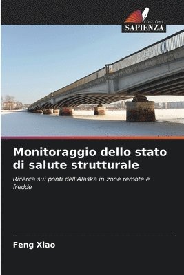 Feng Xiao - Monitoraggio dello stato di salute strutturale, Häftad