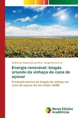 bokomslag Energia renovvel