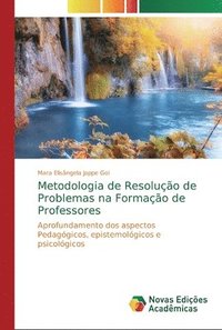bokomslag Metodologia de Resoluo de Problemas na Formao de Professores
