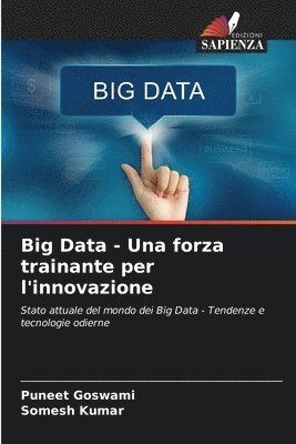 Puneet Goswami, Somesh Kumar - Big Data - Una forza trainante per l'innovazione, Häftad